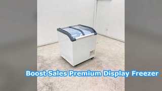 Best Commercial Glass Door Ice Cream Freezer for Stores