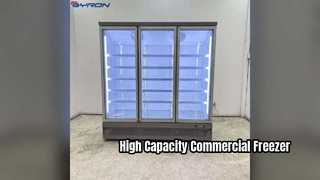 Commercial Vertical Freezer Display for Efficient Storage