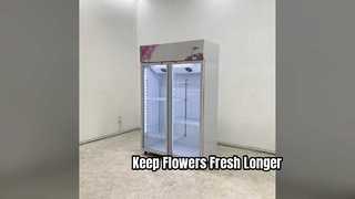 Professional Floral Display Cooler for Fresh Flower Shops