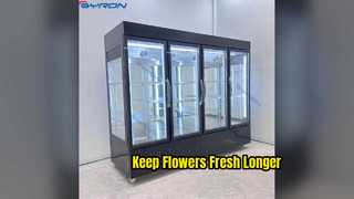 Professional Commercial Flower Cooler for Florists
