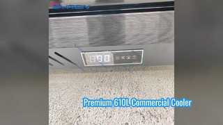610L Commercial Beverage Cooler with Embraco Compressor