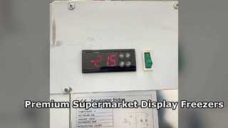 Commercial Vertical Display Freezer for Supermarkets