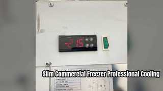 Commercial Vertical Freezer Slim Design for Ice Cream